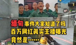 网红爆料缅甸事件视频,网红爆料揭露惊人真相